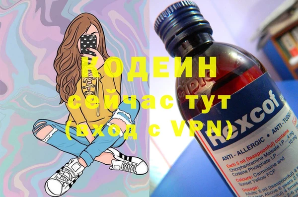 дживик Елабуга