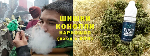 дживик Елабуга