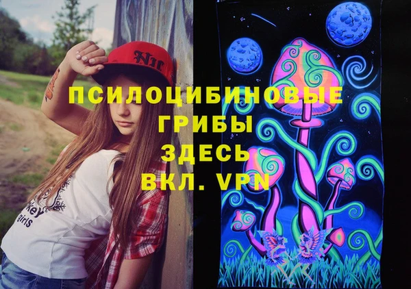 дживик Елабуга