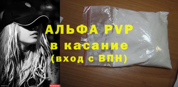 дживик Елабуга