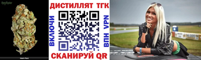 Купить где  Зеленогорск  ТГК концентрат 