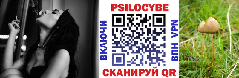 Купить закладки  Зеленогорск  Галлюциногенные грибы Psilocybe 